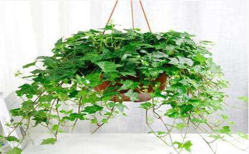 1521164958931902.jpg 3c67c86f-c73a-4089-bbca-2826cfcfeb07.jpg