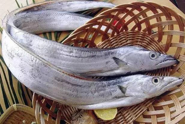 甲醛帶魚流入市場5 甲醛帶魚流入市場5