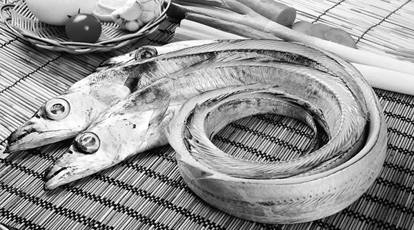 甲醛帶魚流入市場 甲醛帶魚流入市場