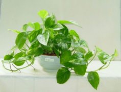 佛山三水順德新房去甲醛的技巧有哪些？