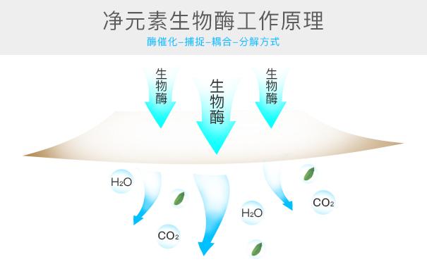 光觸媒、生物酶、空氣凈化器，哪家除甲醛公司效果好？