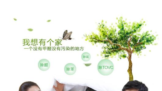 效果好、專業的光觸媒除甲醛產品有那些？